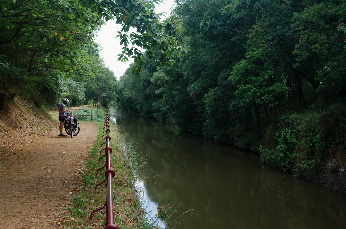 Le canal rejoint la Vilaine