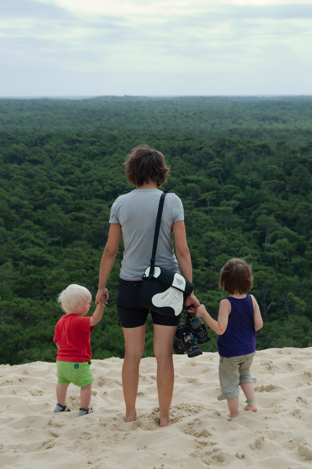 Depuis le haut de la dune du Pyla, on a une belle vue sur la forêt